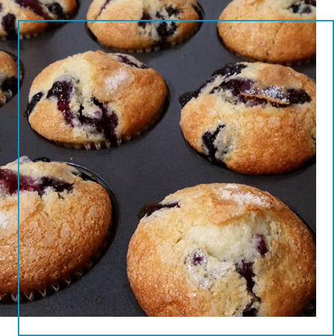 Fresh out of the oven blueberry muffins in a baking tin