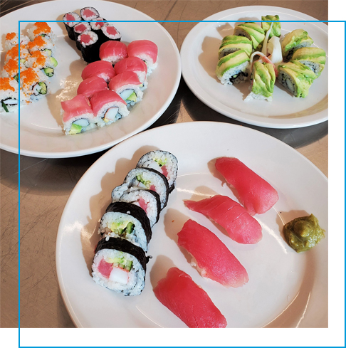 Introduction to Sushi